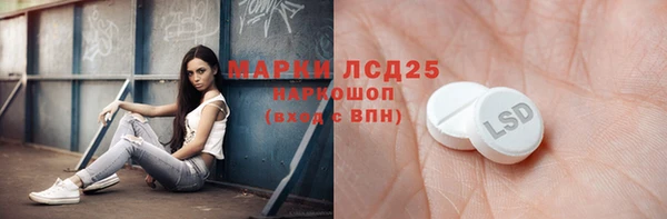 ПСИЛОЦИБИНОВЫЕ ГРИБЫ Арсеньев