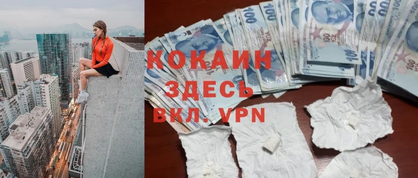 ПСИЛОЦИБИНОВЫЕ ГРИБЫ Арсеньев