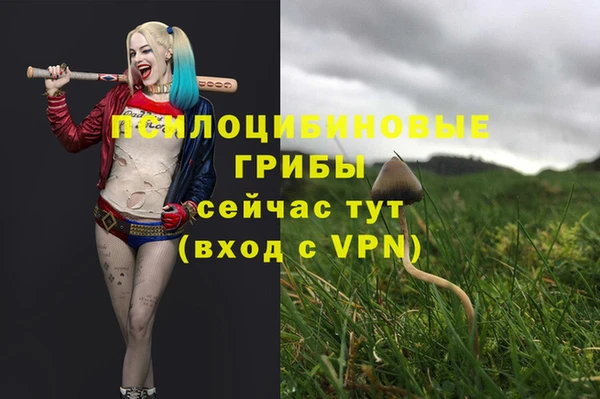 дмт Алексин