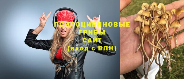 спайс Аркадак
