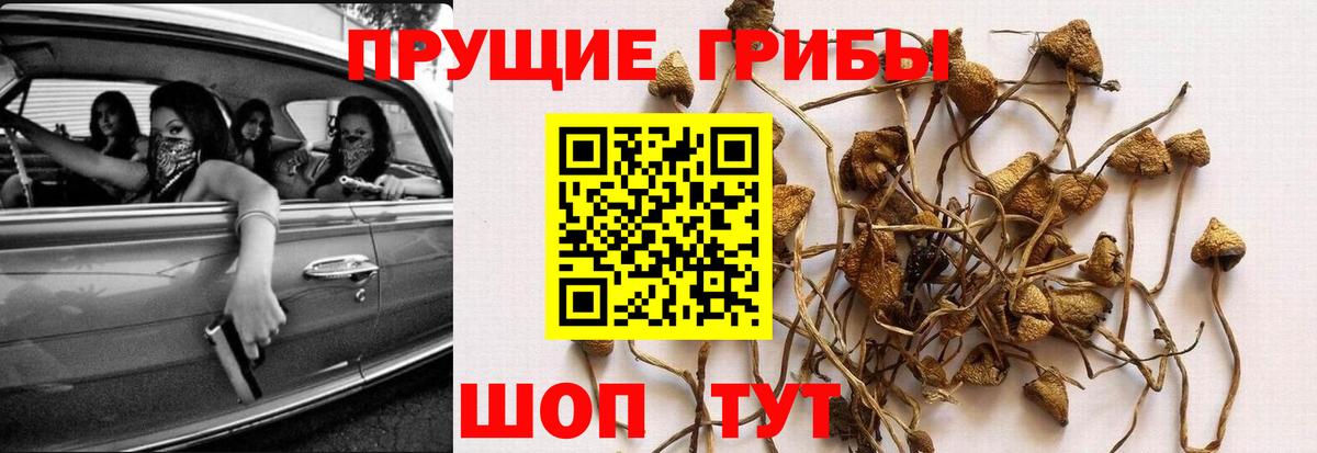 Псилоцибиновые грибы мицелий Каменск-Уральский